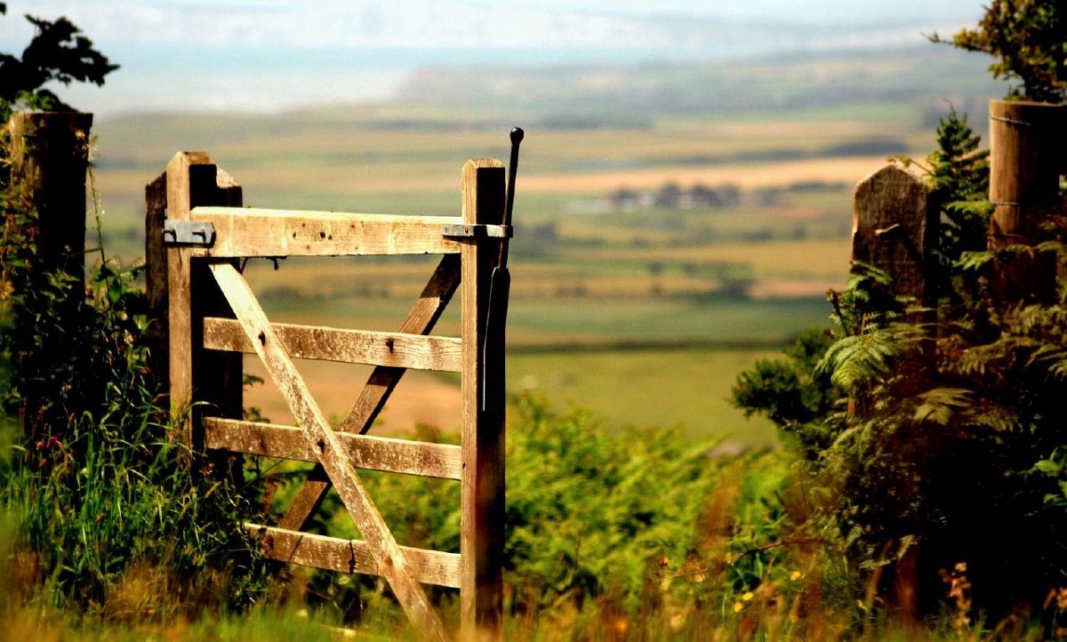 Ecotherapy-in-Sussex-countryside-open-gate-with-field-in-background