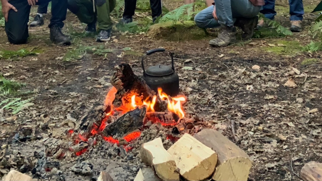 Forest-Bathing-in-Stanmer-Park-Brighton--tall-trees-in-a-forest